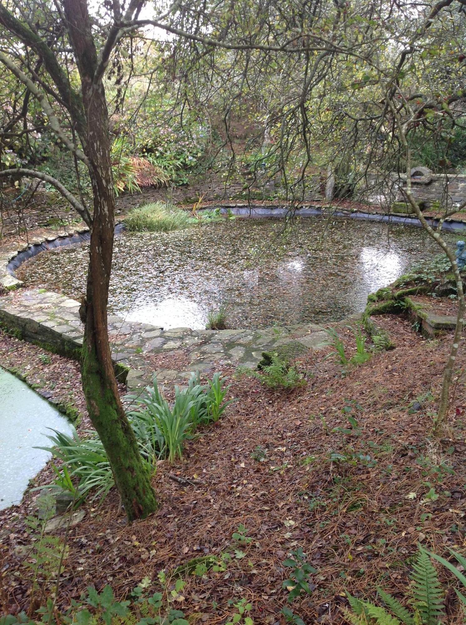 סנט אוסטל Trevenna Cabin מראה חיצוני תמונה
